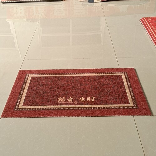 新丝圈地垫60*90厘米