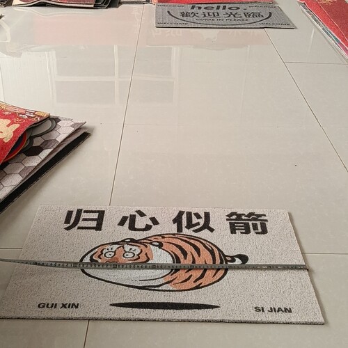 微瑕丝圈地垫入户门口垫45*75