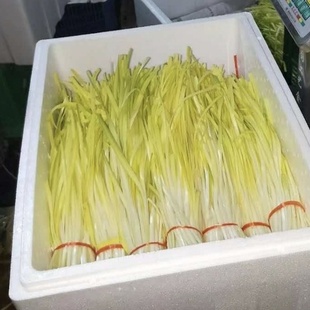 云南新鲜韭黄韭菜—产地直发(2斤装)打冷加冰冷链运输营养蔬菜