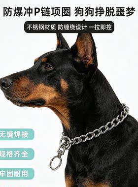 防爆冲304不锈钢P链双圈狗链金属项圈脖训狗链旋转防缠绕训练脖套