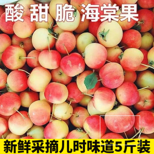 正宗东北沙果新鲜水果