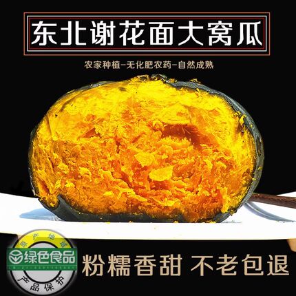 东北窝瓜 谢花面窝瓜老倭瓜农家种植甜面糯绿皮黄肉老品种倭瓜