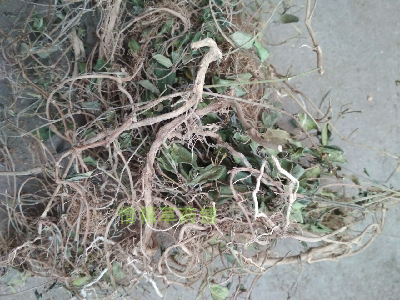 中草药地菍全草 地茄子 铺地锦 铺地稔 落地菍  地念晒干1斤包邮