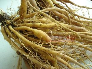 新鲜黄花菜根 金针根 萱草根 炖猪脚500g是生的1斤