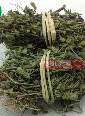 2斤起包邮福建野生爵床草药  六角仙 小青草 六角英  野万年青1斤