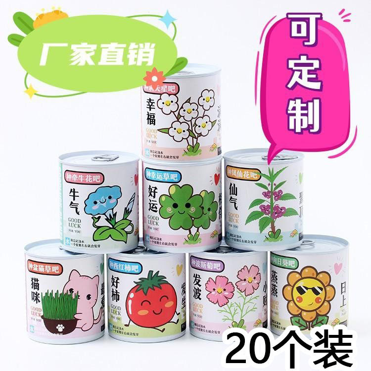 易拉罐植物盆栽种子迷你花卉盲盒罐头幼儿园学生儿童创意奖励礼物图片