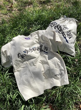 【代购】TNF北面紫标26ss Graphic tee 艺术家作品印花短袖T恤