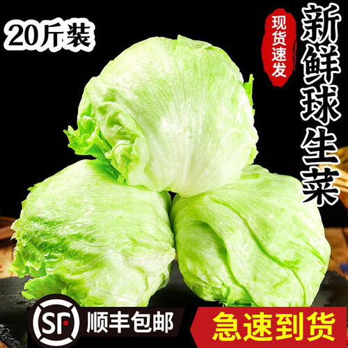 新鲜蔬菜球生菜沙拉汉堡