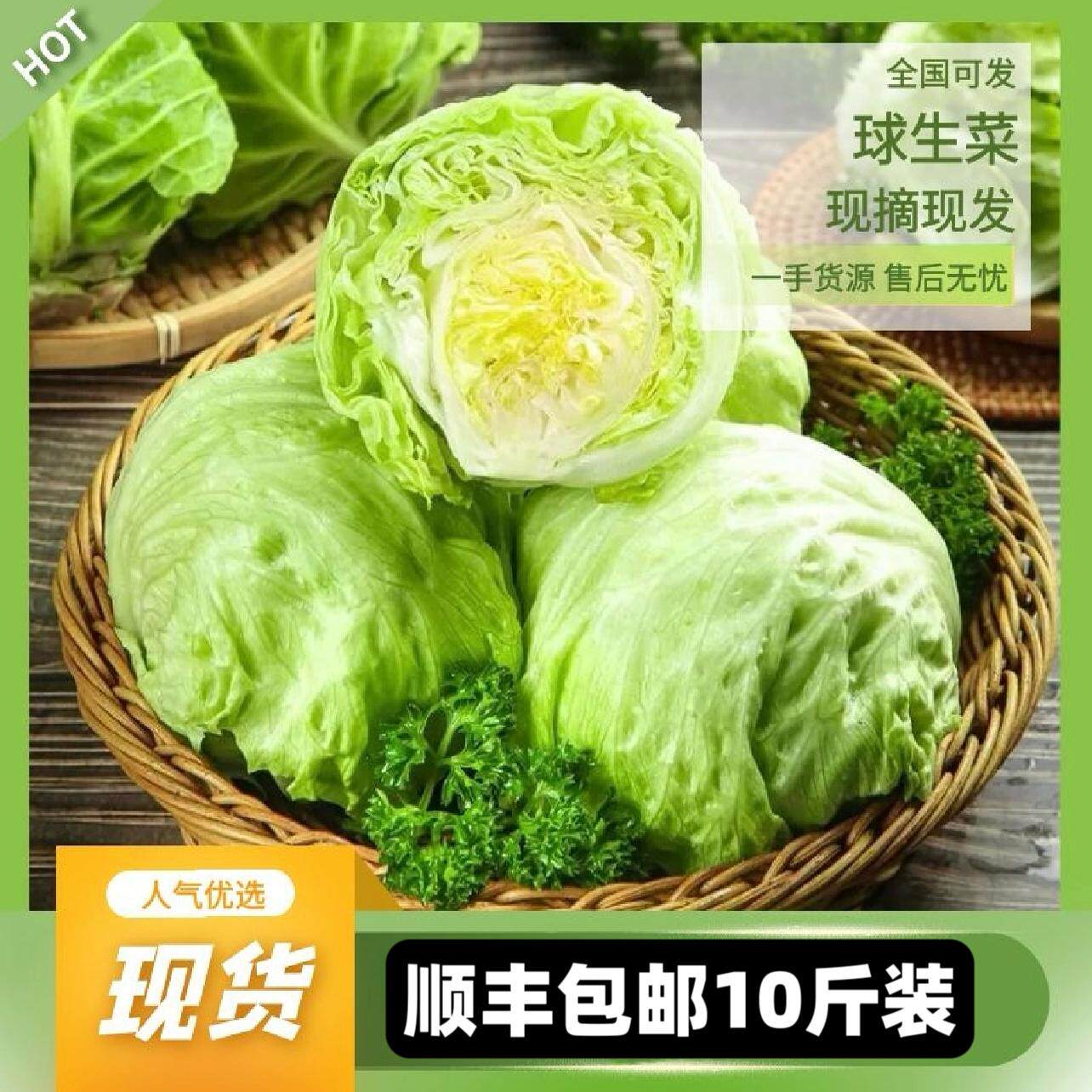 球生菜10斤 生菜新鲜蔬菜沙拉生菜生吃凉拌菜沙拉菜生菜包菜顺丰