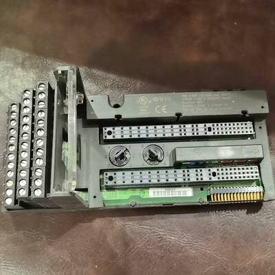 议价美国GE模块IC200CHS022L