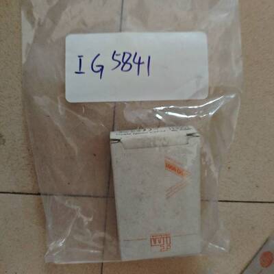 议价ifm  IG5841