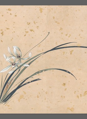 张大千 兰花斗方 国画名家字画 装饰画 画心宣纸高清微喷画芯