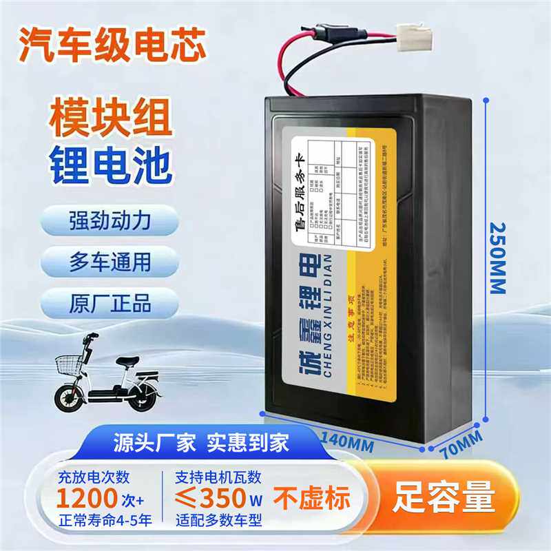 电动车铅酸改锂电池48v15ah 通用星恒天能超威爱玛雅迪新日电动车