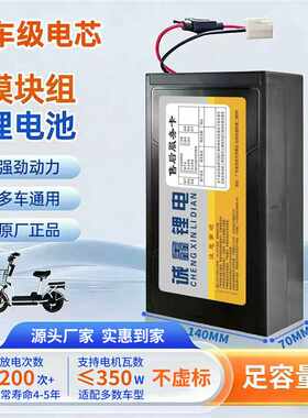 电动车铅酸改锂电池48v15ah 通用星恒天能超威爱玛雅迪新日电动车
