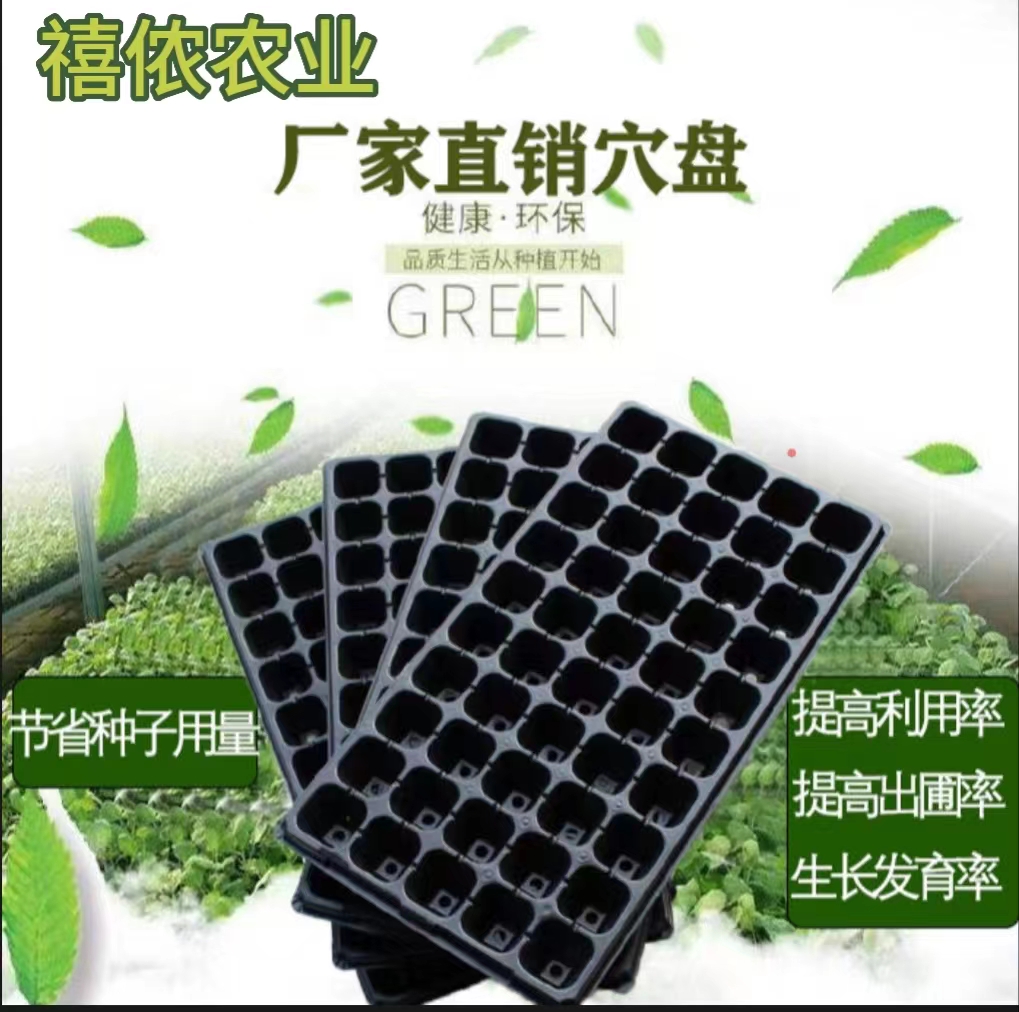 育苗穴盘西瓜育苗盘西瓜辣椒茄子草莓蔬菜芽菜营养杯营养钵育苗盘