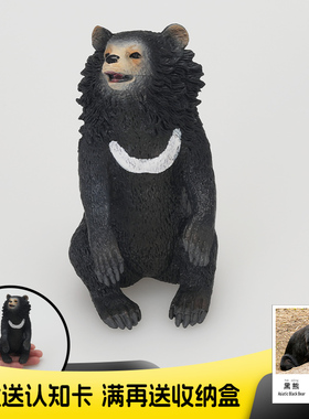 实心仿真野生动物玩具模型儿童玩具黑熊月牙熊认知早教摆件