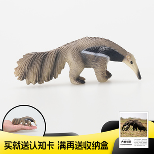 儿童实心仿真野生动物大食蚁兽模型玩具认知礼品摆件