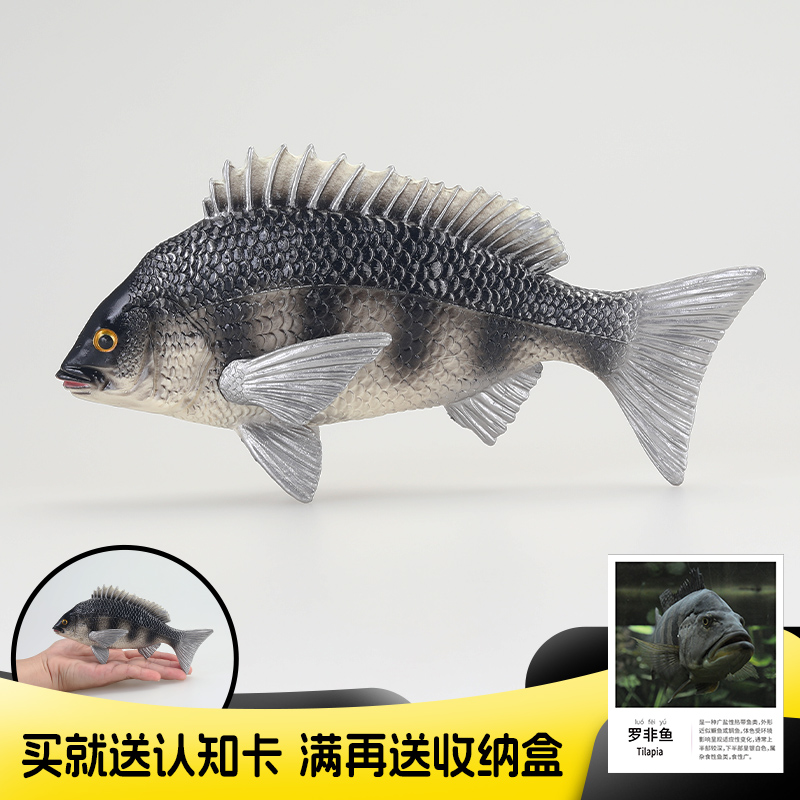 仿真动物模型罗非鱼儿童玩具