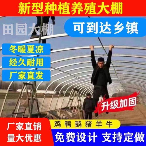 温室定制养殖大棚蔬菜大棚连体棚