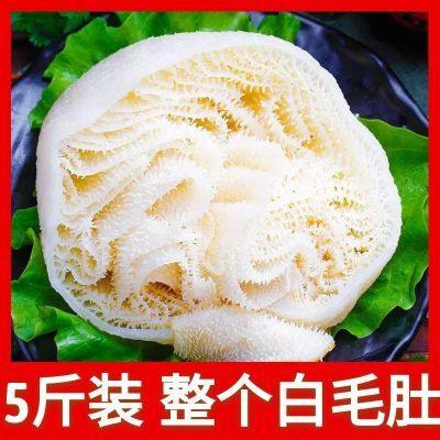 5斤装新鲜脆整个白毛肚牛百叶重庆火锅食材冒菜串串商用牛肚牛杂