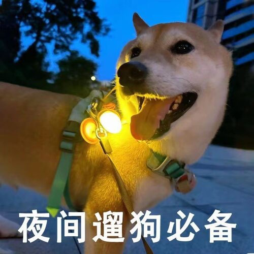 狗狗夜间出行防走失遛狗发光吊坠闪光挂坠宠物配饰吊牌夜光灯
