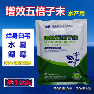 腐皮黑鳃康鱼虾蟹消毒杀菌敛疮止血水霉白毛水产养殖五倍子液