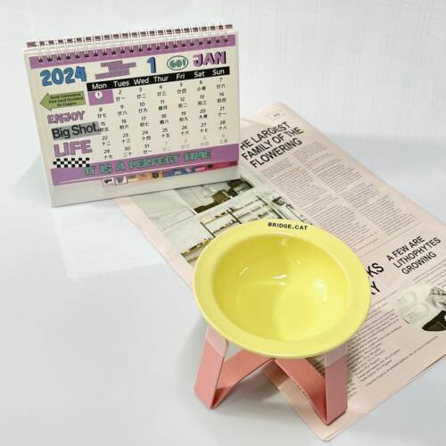 韩国Brdge.cat配日本pecolo支架套装护颈陶瓷宠物飞碟猫粮碗