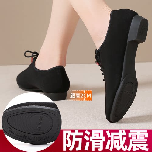 女士平跟舞蹈广场舞鞋拉丁舞鞋不累脚跳舞鞋形体鞋软底防滑舞蹈鞋