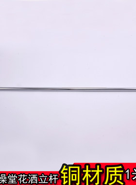 花洒直管配件，澡堂花洒立杆，不锈钢，铜2款 100CM长