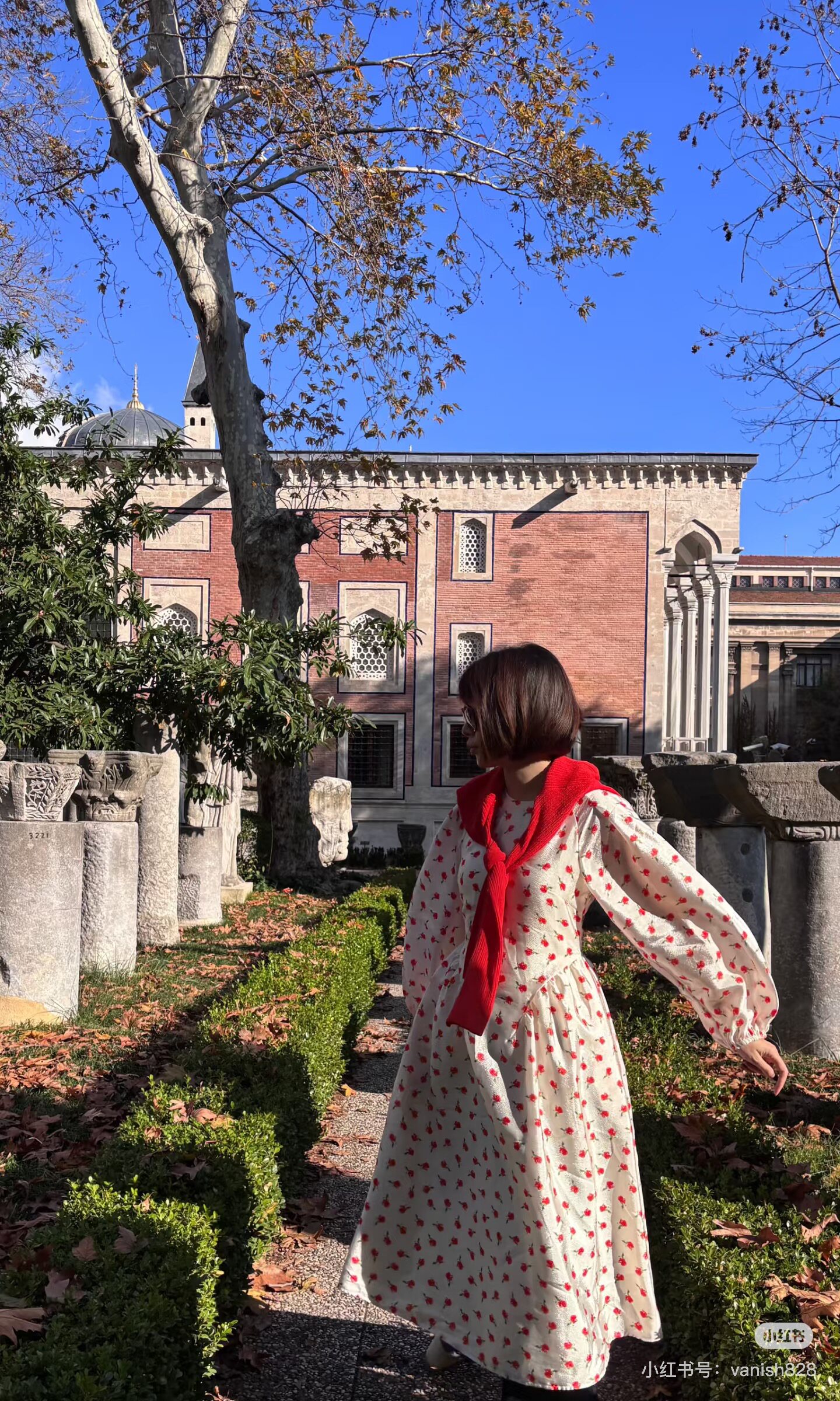 Rosatown｜北欧 红牌 小玫瑰