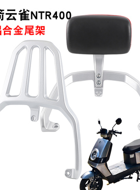 适用于电动车金箭云雀NTR400靠背后货架尾架尾箱备箱支架衣架靠垫