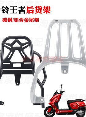 适用于台铃王者max电动车尾架TL3000DT-14W尾箱后货架延长支衣架