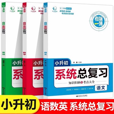 小升初系统总复习知识归纳考点