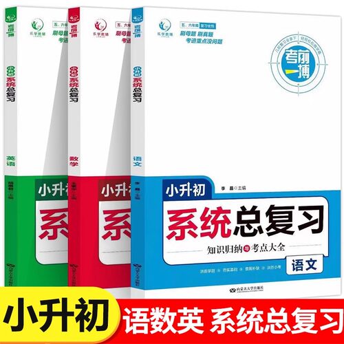 小升初系统总复习知识归纳考点
