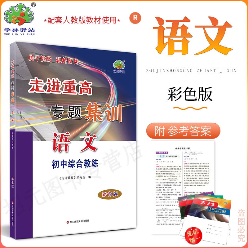 讲义专题集训语文初中综合