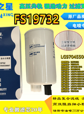 FS19732油水分离器LG9704550070适配豪沃轻卡悍将统帅电喷3973233