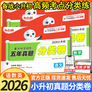 小白鸥2026小升初真题分类卷语文数学英语分类真题卷人教版 重点中学招生五年真题分类卷 小白欧小升初星空小升初真题分类