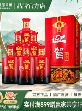 迎驾贡酒淮南子上品浓香型纯粮