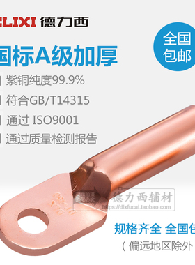 德力西DT-16 25 35 50平方电缆闭口铜鼻子接线铜端子紫铜接头线耳