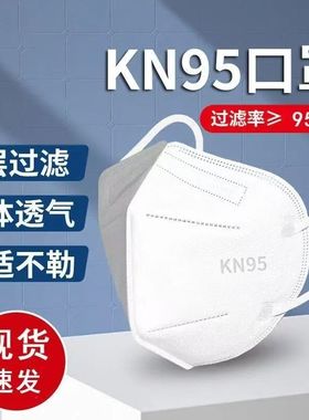 KN95口罩3d立体口罩不勒耳五层一次性口罩BLH