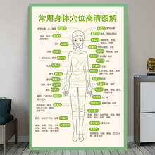 人体经络穴位标准大图挂图墙贴纸海报常用身体穴位图解艾灸养生图