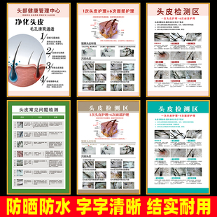 头皮检测对比图海报检测图头疗图片宣传画分析图毛囊对比图对照表