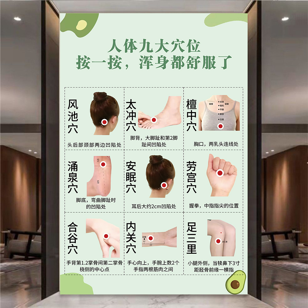 穴位图挂图人体经络穴位标准