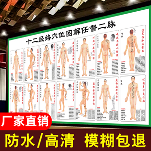 人体经络穴位标准大图中医十二经络穴位图全身高清真人经穴图解hb