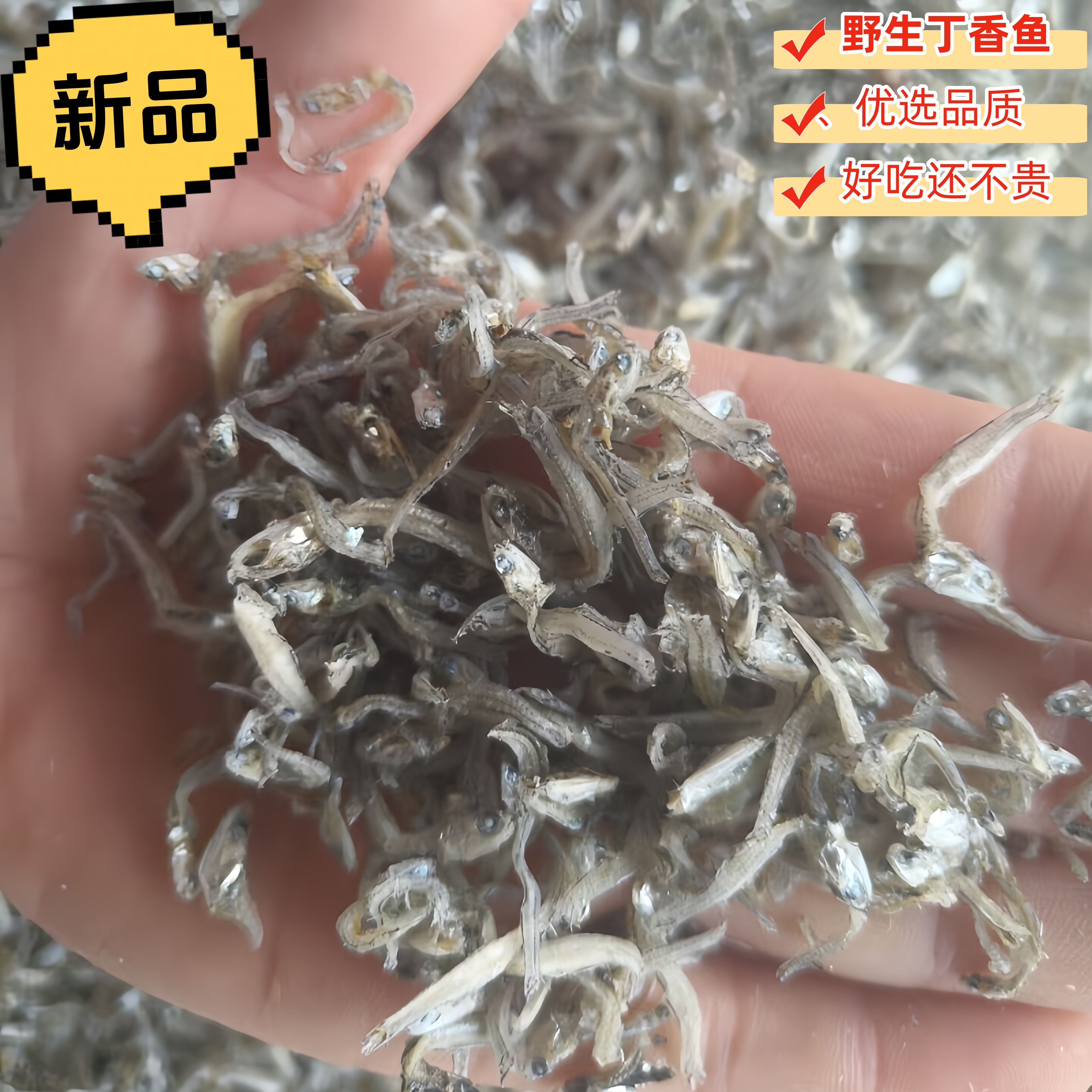 丁香鱼小银鱼面条鱼银鱼干海银鱼鱼干