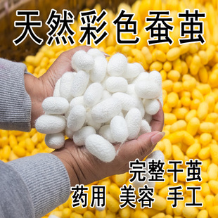 农家天然彩色蚕茧美容茧黄茧蚕丝扇球桑蚕茧壳洗脸手工蚕丝扇白茧