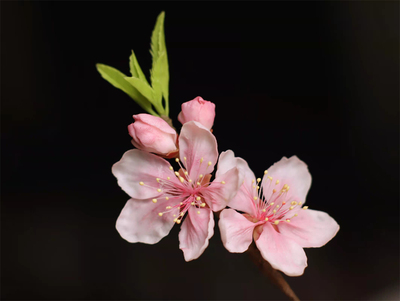 桃花汉服旗袍配饰菁晏粘土通草花