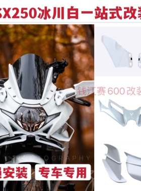 适用于铃木GSX250R冰川白改装前挡风下唇风刀白车配件款定风翼