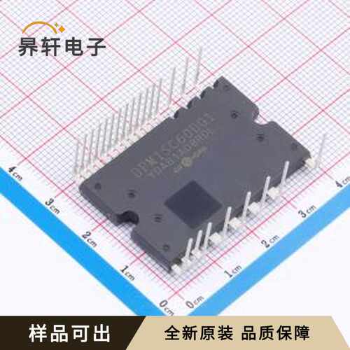 原装DPM15C60DG1全新DIP-24