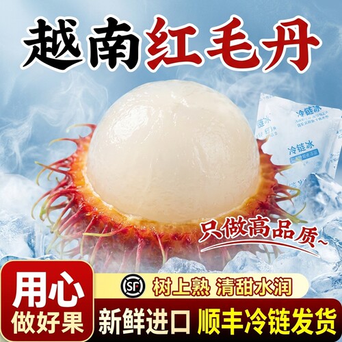 【顺丰冷链发货】越南进口新鲜红毛丹水果当季热带毛丹果整箱包邮
